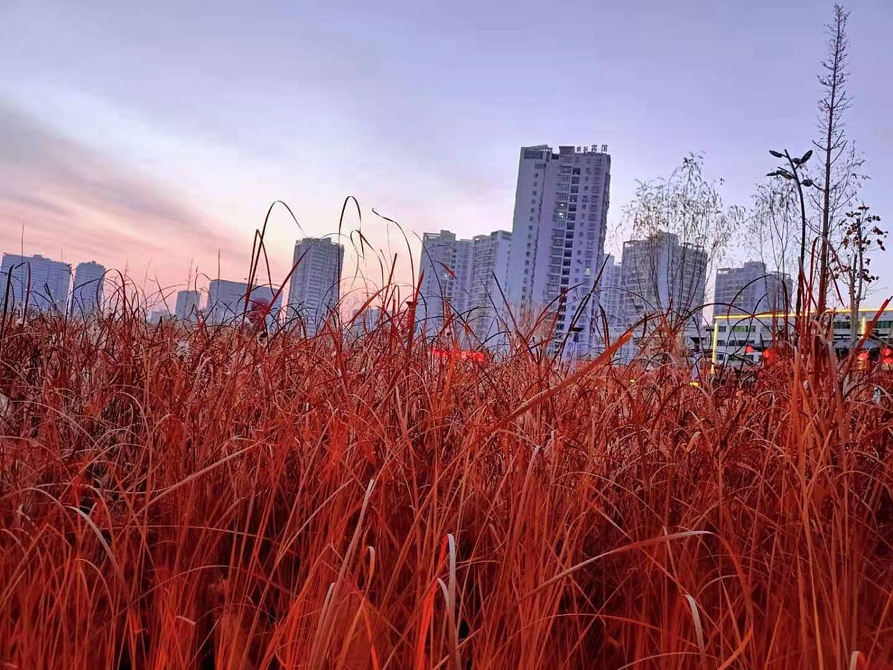 手机摄影+从邵阳到深圳一直到新疆的摄影记录着一切