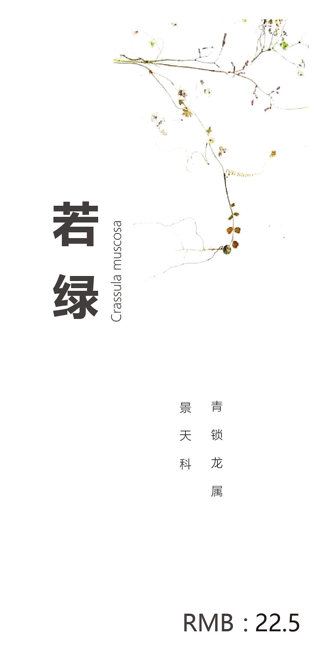 花店价目表小卡片设计（图ZMTQzNjI4ODI0） - 其他平面 - 站酷设计师胡黑豆原创素材 - 站酷ZCOOL