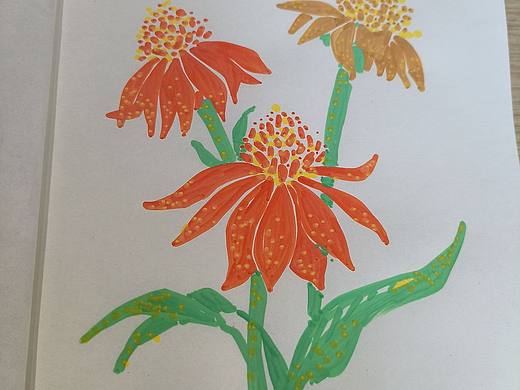 小画