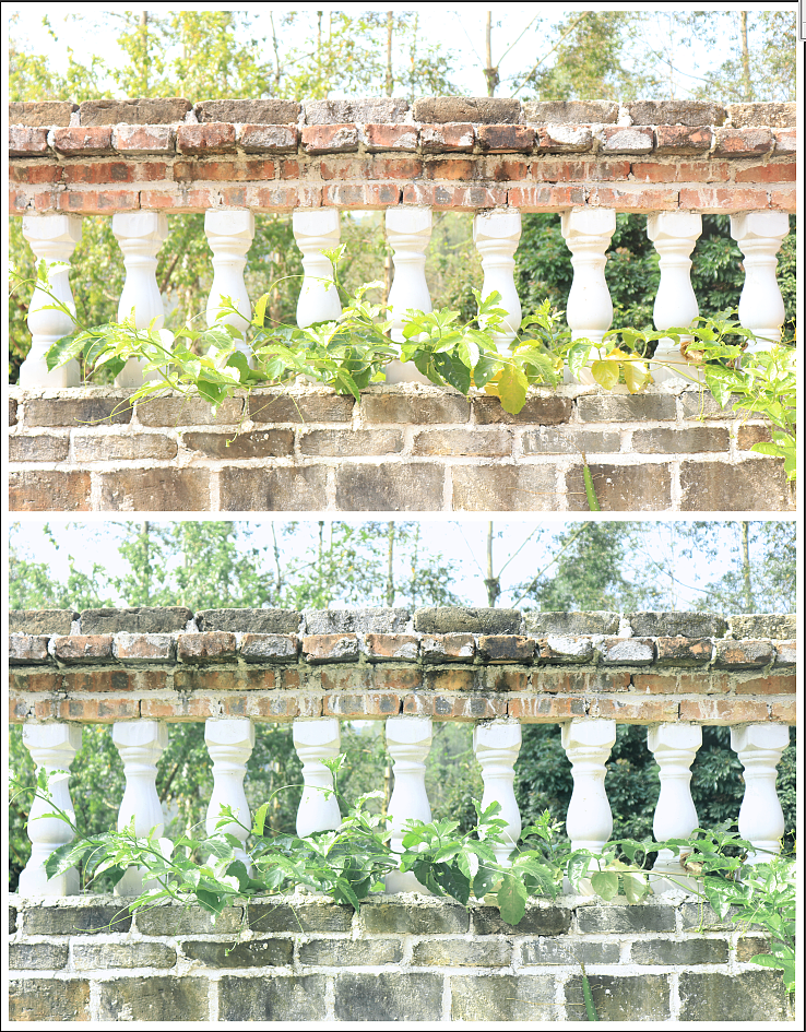 强（墙）上的绿叶（图ZMTMwNTE0NTUy） - 风光摄影 - 站酷设计师设计MZN原创素材 - 站酷ZCOOL