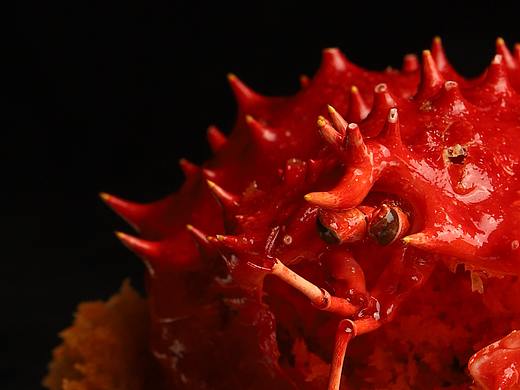 避风塘香辣帝王蟹/King Crab