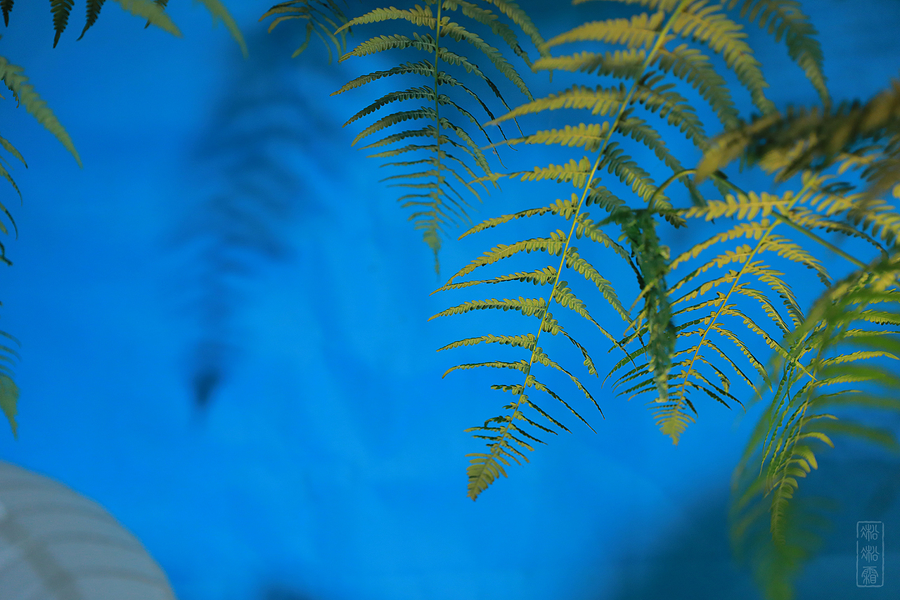 苦一点没关系 我甜呀