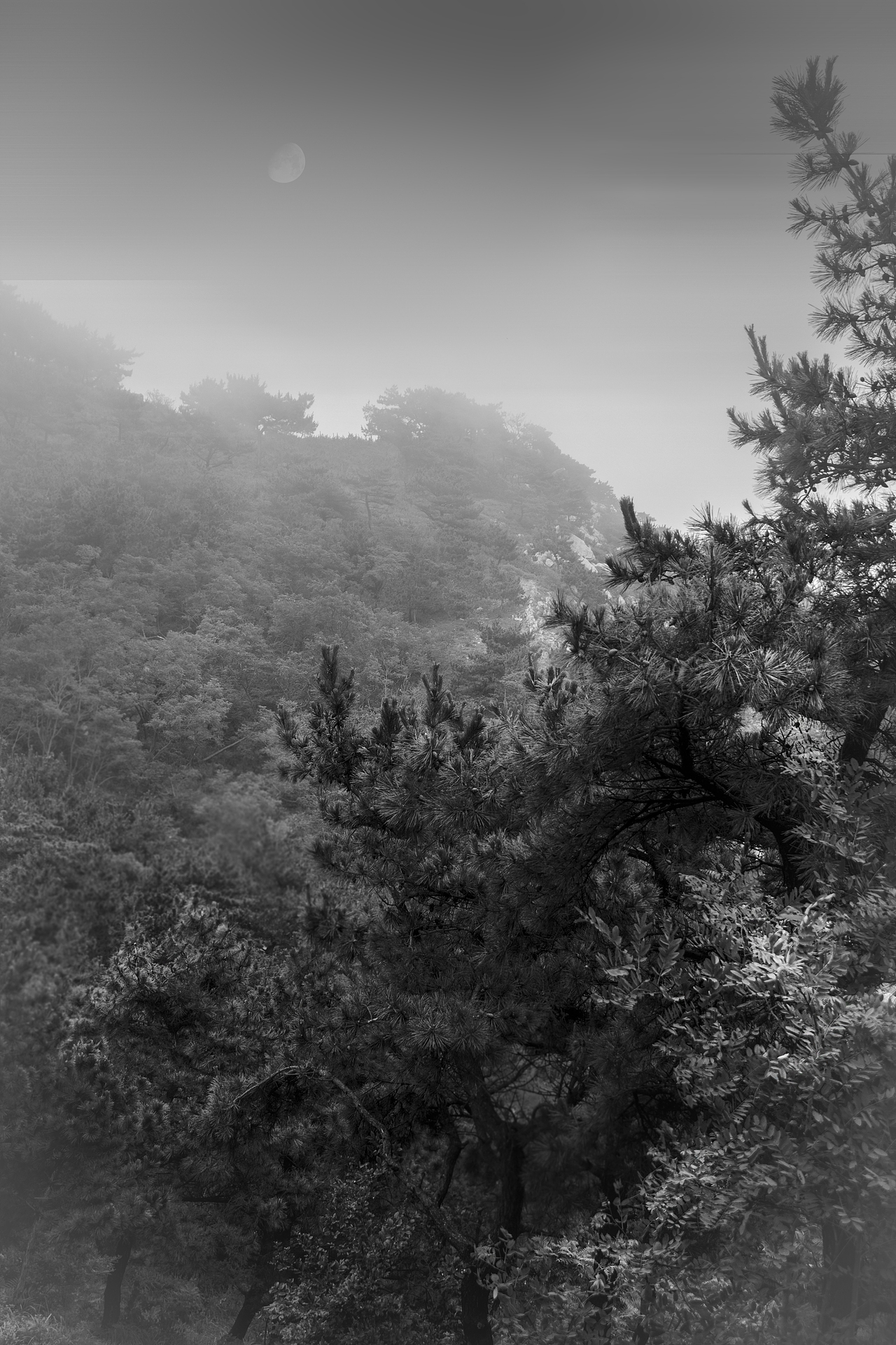 暑假随拍（图ZMTI4MDcxNzM2） - 其他摄影 - 站酷设计师凡帆烦原创素材 - 站酷ZCOOL