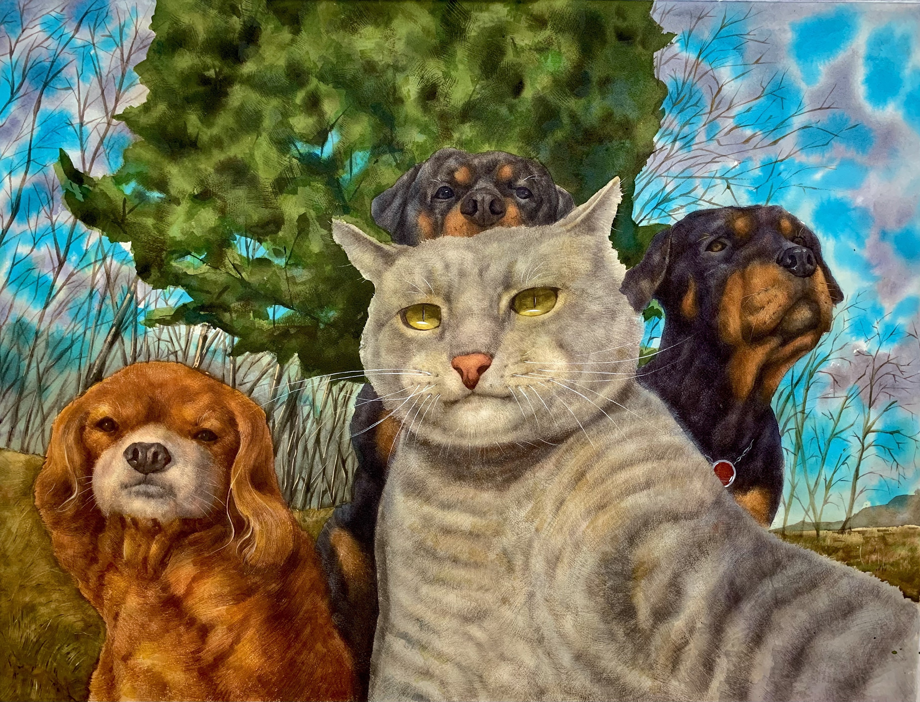 《猫老大》水彩作品