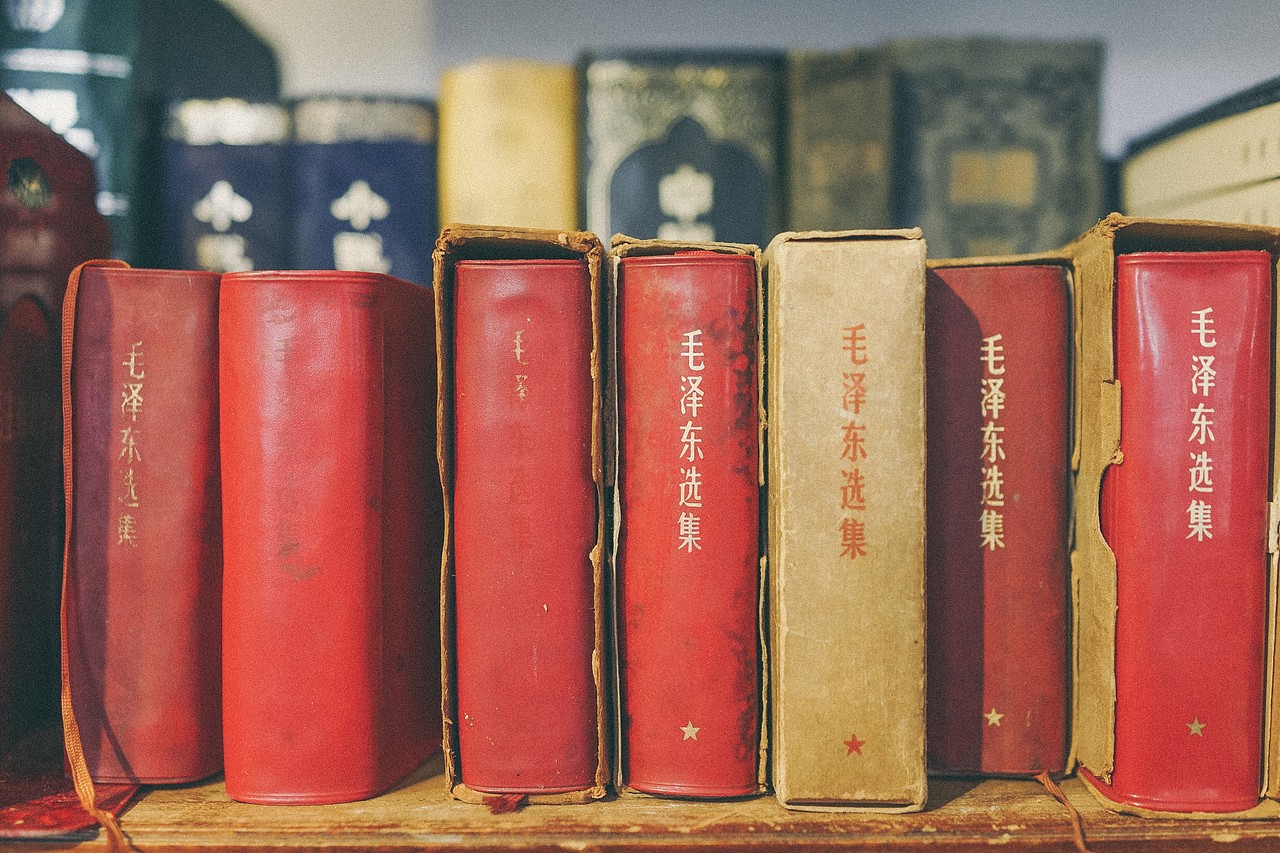 北京“正阳书局”喵老板和他的玩意儿们