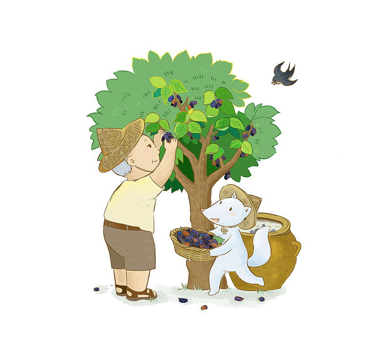 酒狐桑葚米酒外包装插画