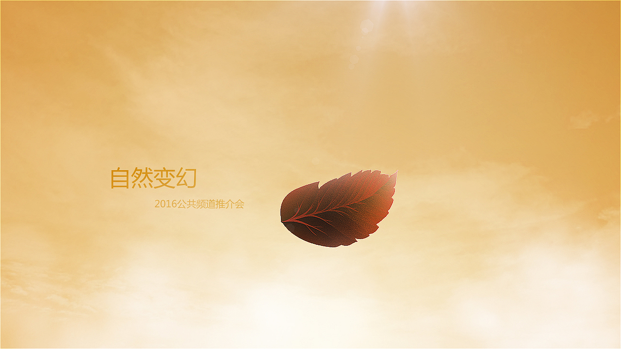 推介会做的一些分镜头稿子