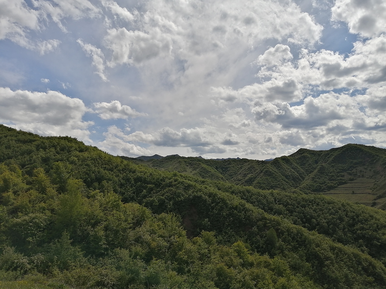 神奇的大自然的产物