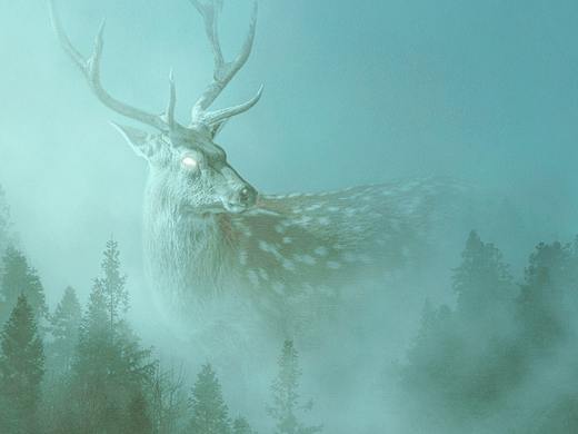 梦境（个人主页-ZNTUwMDM0MDA=） - 修图/后期 - 站酷设计师像素之翼juben原创素材 - 站酷ZCOOL