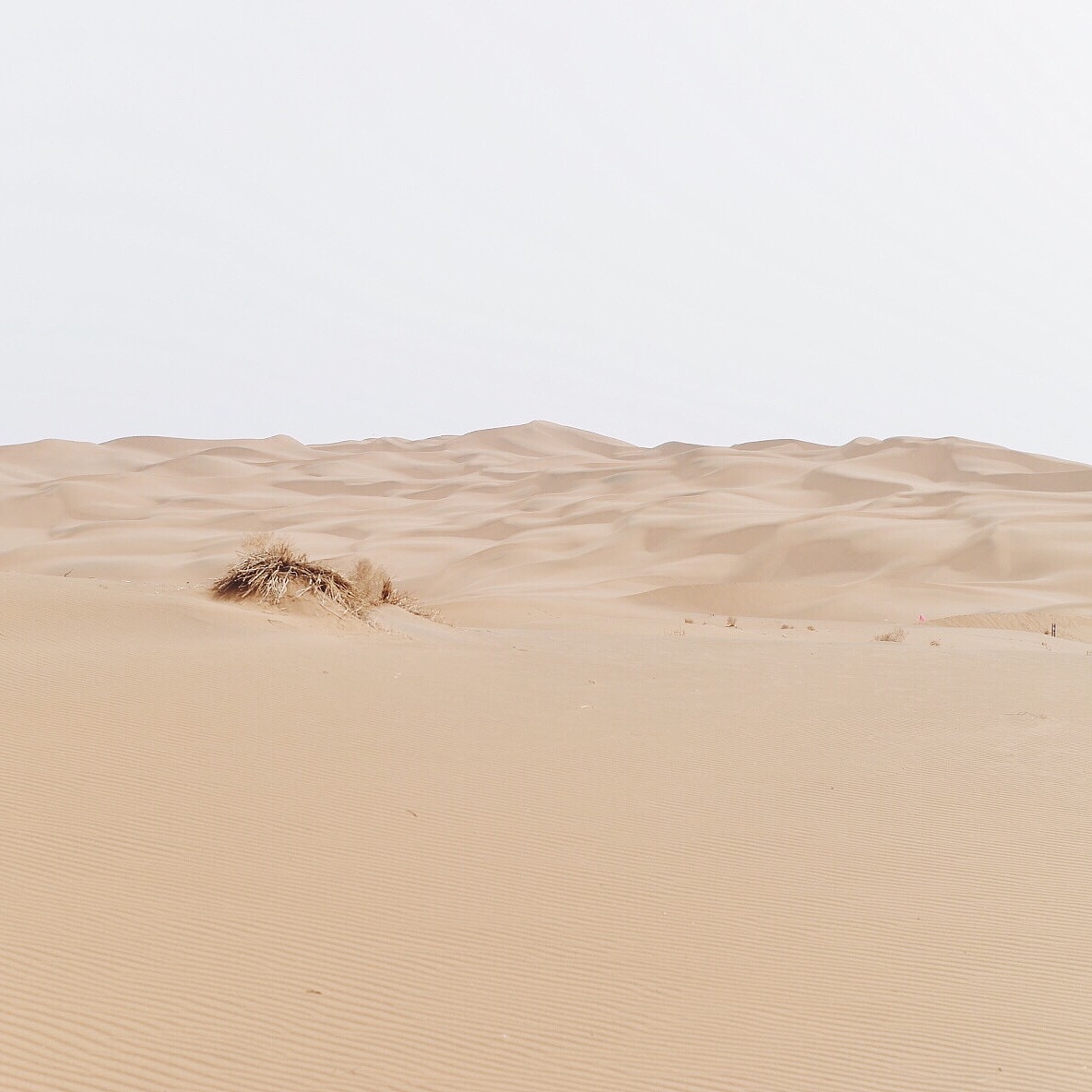 沙漠（图ZMTEwNjY3OTEy） - 风光摄影 - 站酷设计师MenthaM原创素材 - 站酷ZCOOL