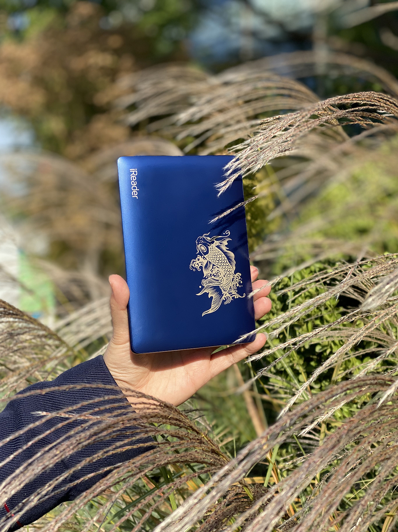 iReader锦鲤版 设计项目