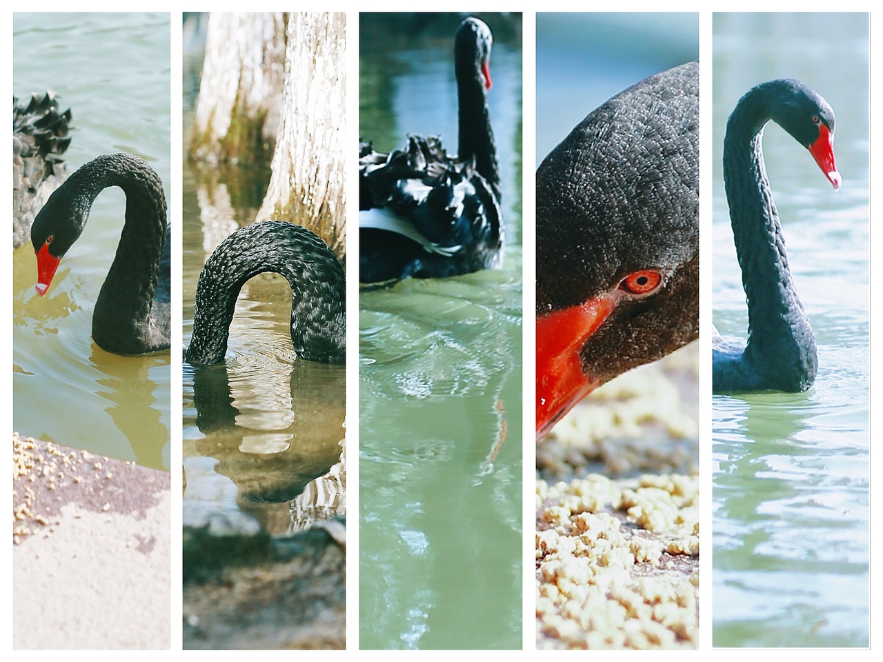 早春的痕跡??（圖ZMjQzOTg0NDU2） - 風(fēng)光攝影 - 站酷設(shè)計(jì)師Z自由女神原創(chuàng)素材 - 站酷ZCOOL