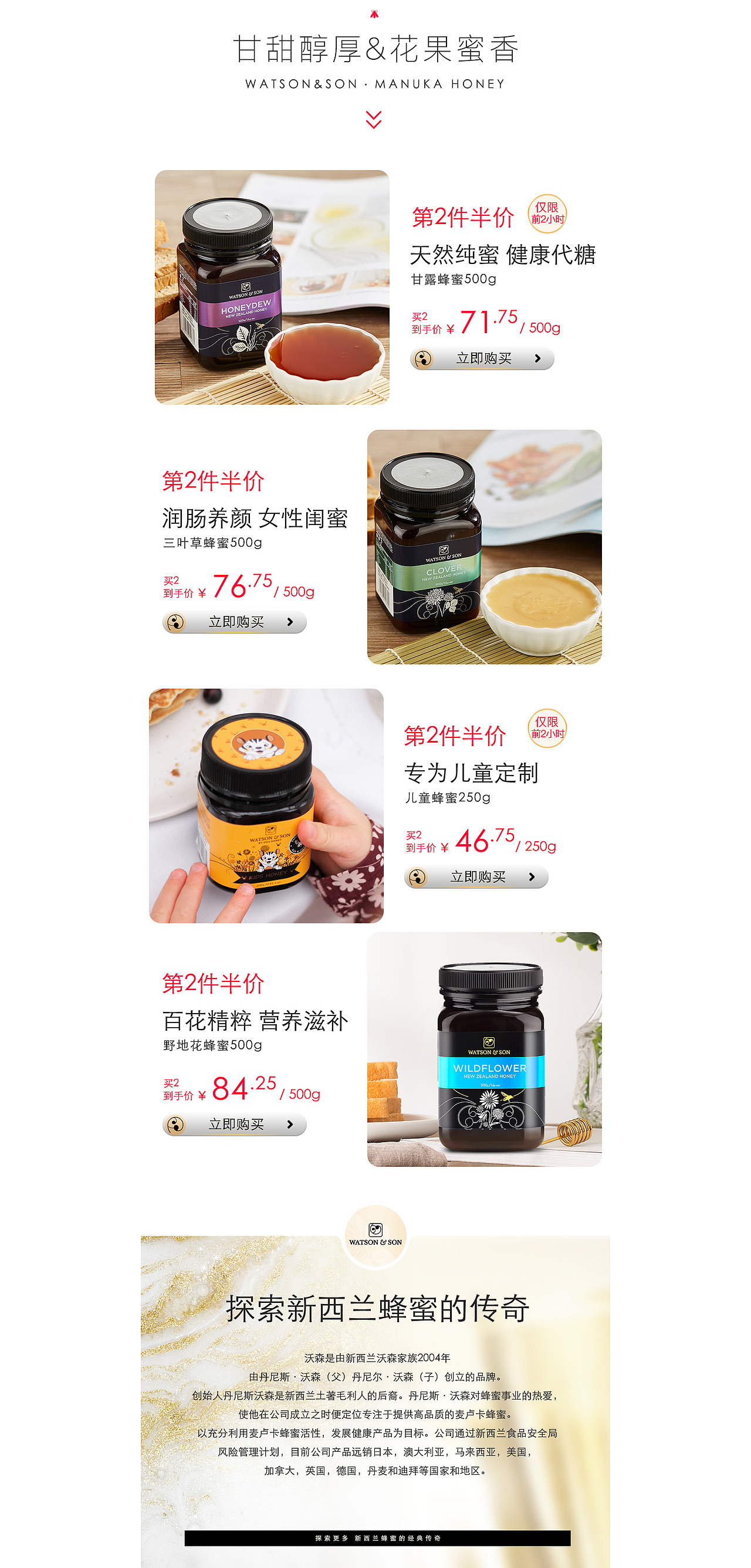 520品牌视觉策划与设计