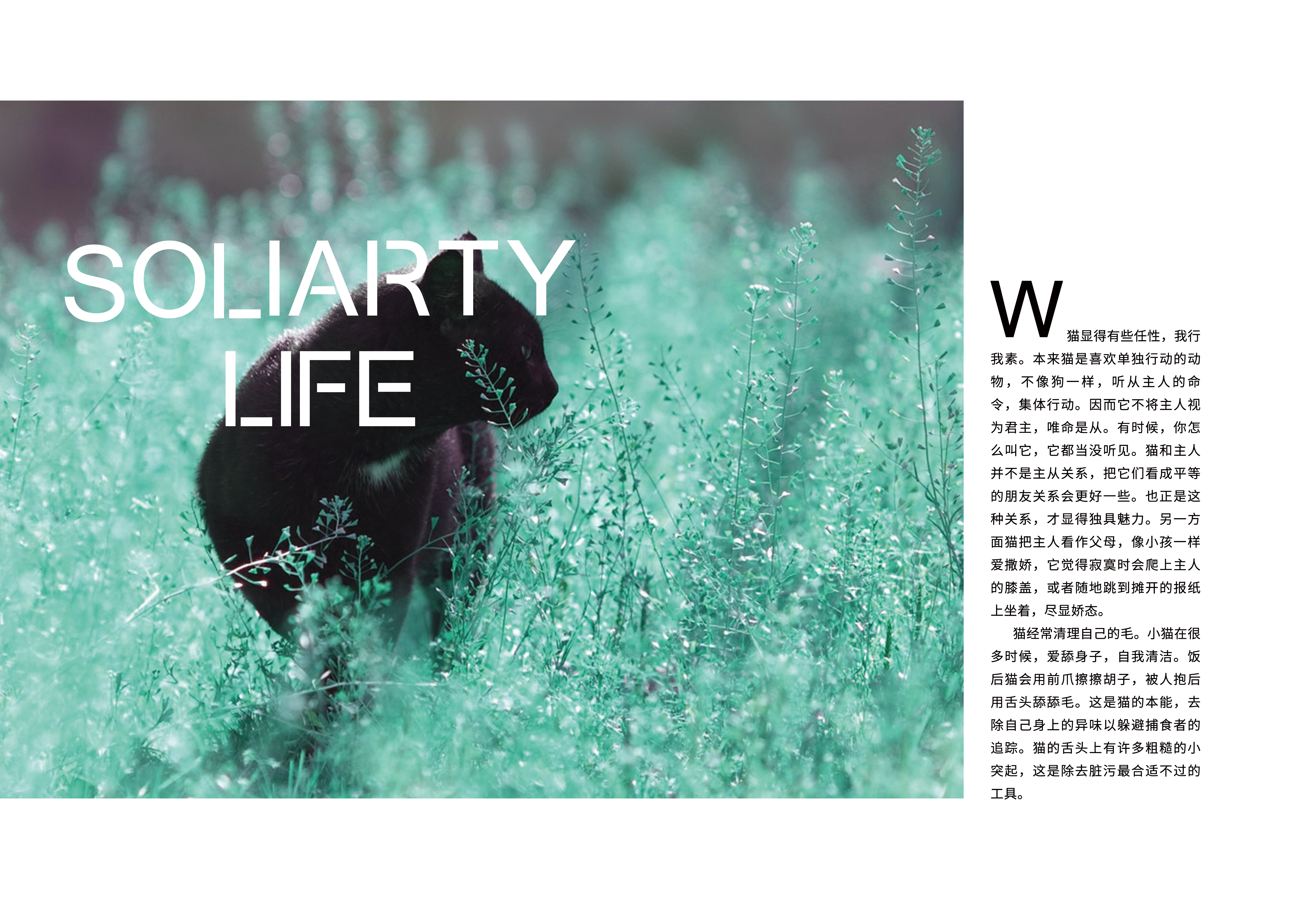 画册（图ZNzQxNDk1ODA=） - 书籍/画册 - 站酷设计师猫思维的小宇宙原创素材 - 站酷ZCOOL