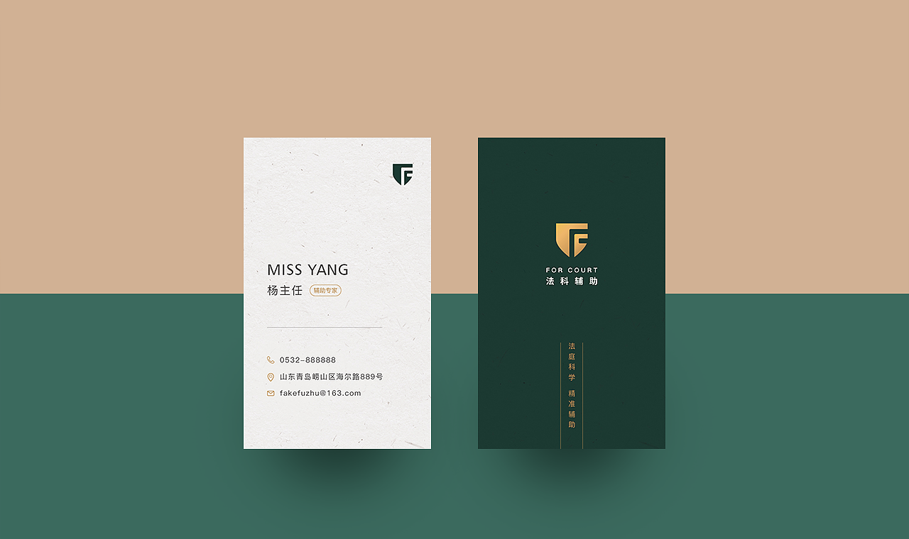 北京法科辅助品牌视觉VI设计