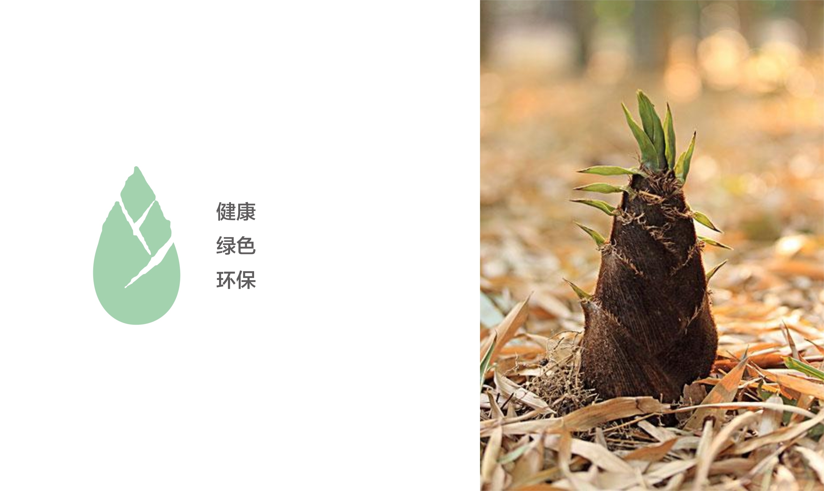 笙山笋纪 字体logo设计