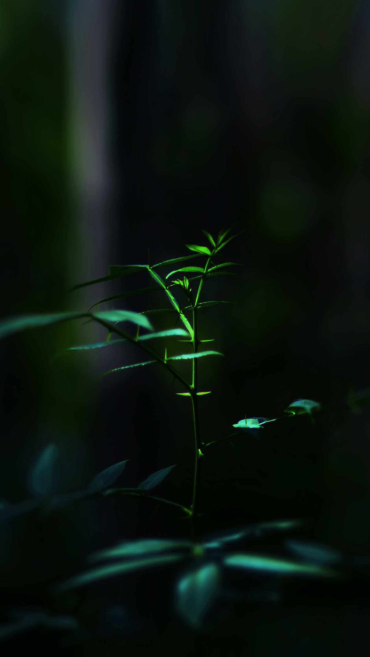 平常心（圖ZMzczODkxMjQ=） - 其他攝影 - 站酷設(shè)計(jì)師HK754202733原創(chuàng)素材 - 站酷ZCOOL