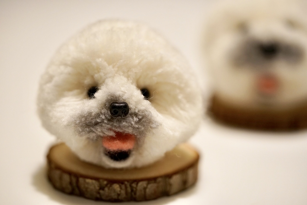 羊毛毡比熊泰迪狗狗