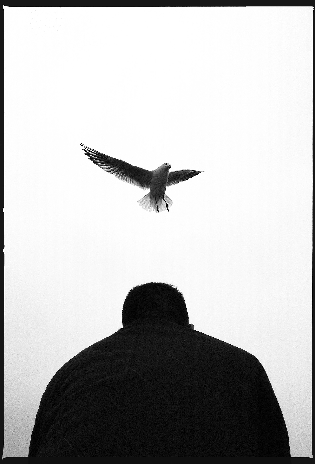 鸟人|摄影|手机|BirdMan何雄 - 原创作品 - 站酷 (ZCOOL)