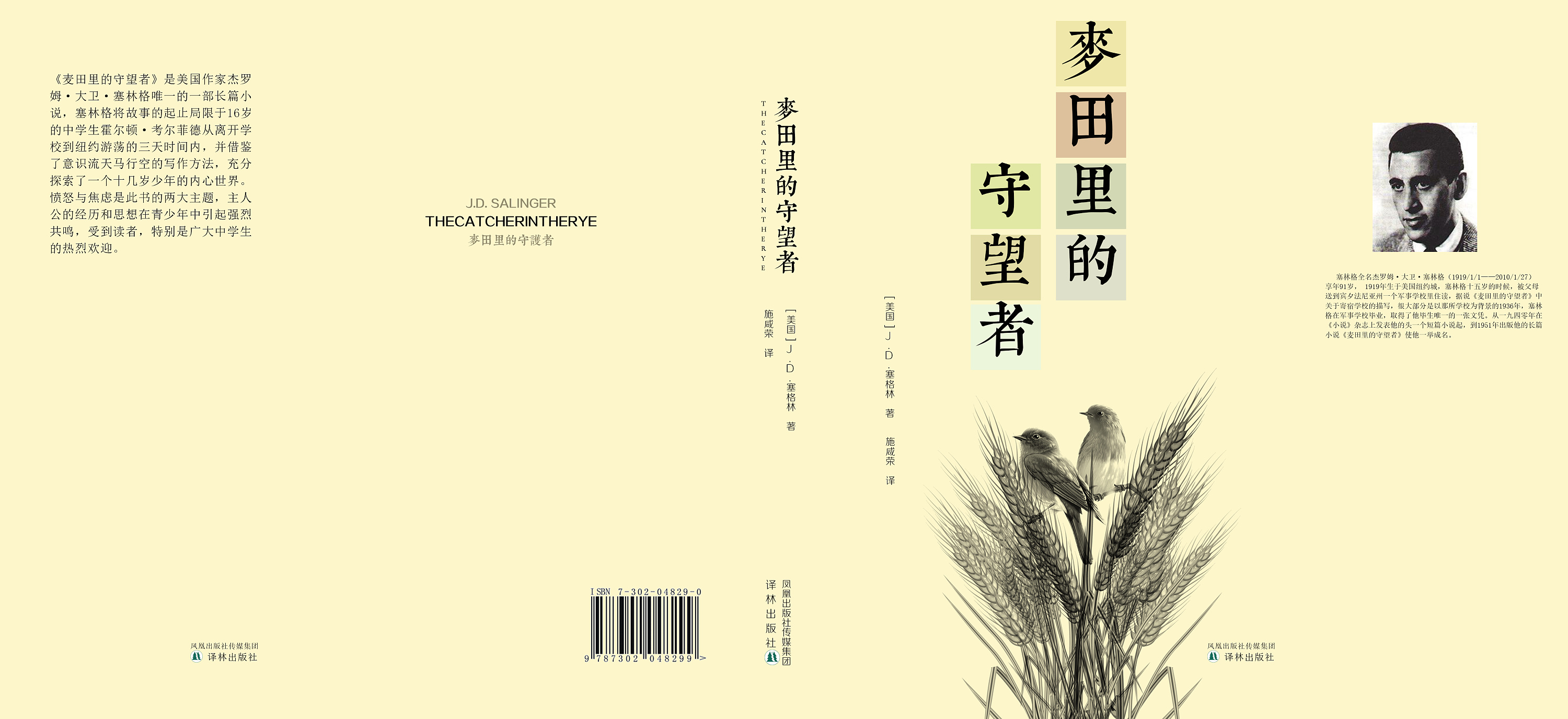 《麦田里的守望者》包装再设计