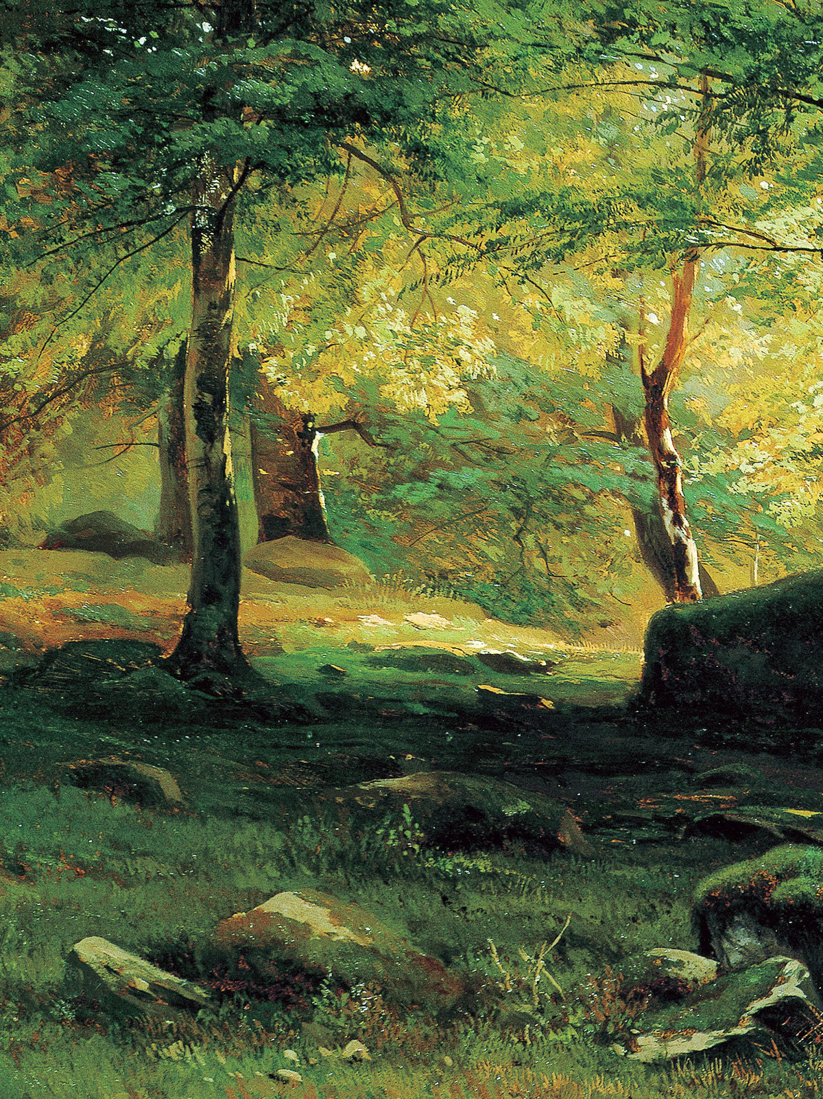 我的风景油画习作《阳光洒进小树林》