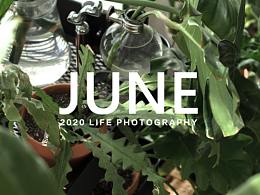 我家有个植物园 静物摄影