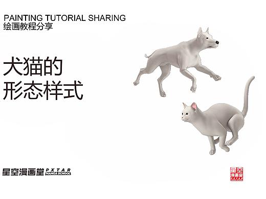犬猫的形态样式3