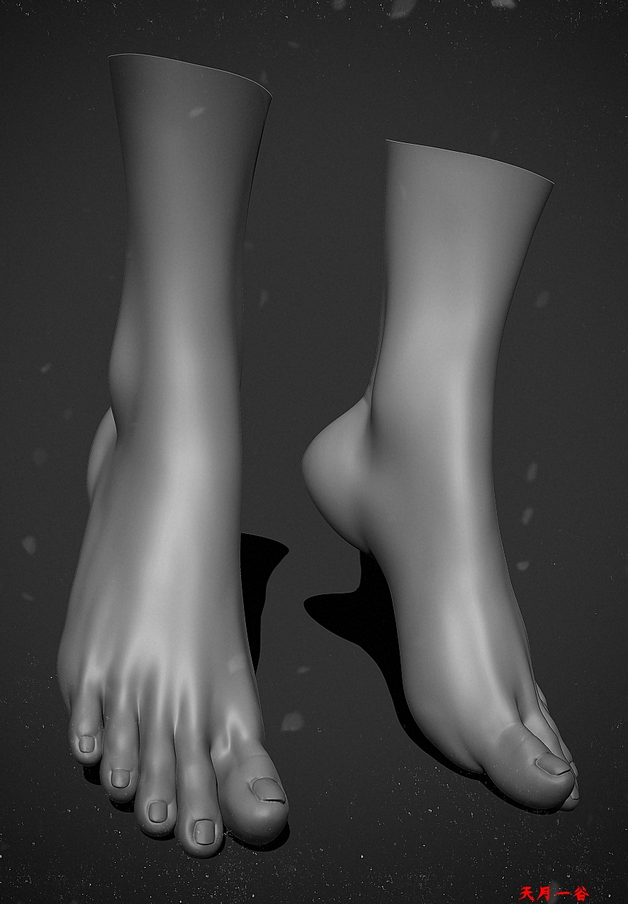 人体结构练习脚