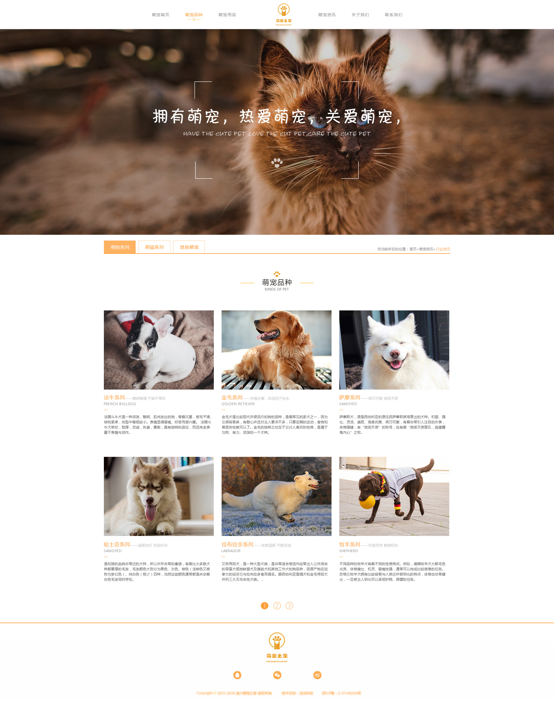 萌宠之家网站建设|网页|企业官网|小小蓝胖子 - 原创作品 - 站酷
