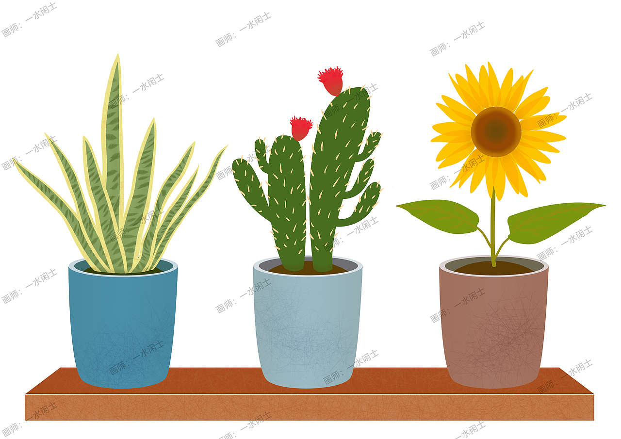 植物系列:仙人掌,向日葵,绿植