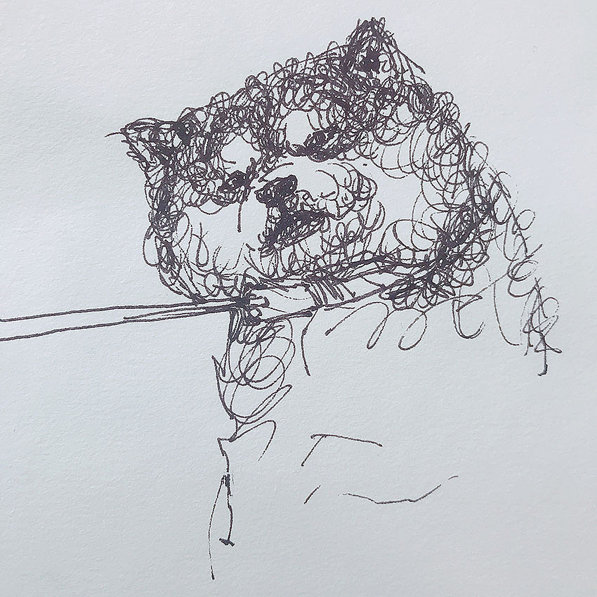 钢丝球画法萌萌的柴犬们1