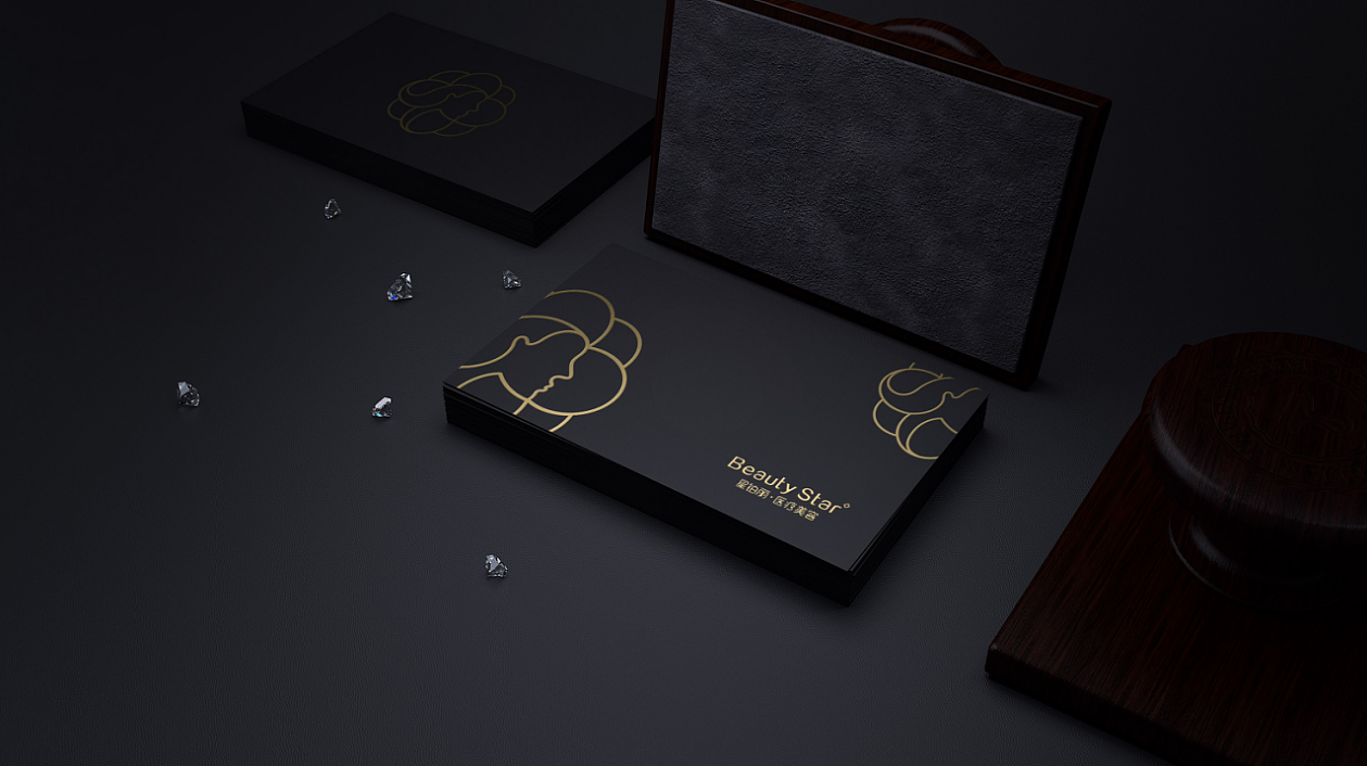 星铂丽-标志设计（图ZMTA1NTQ4MzEy） - Logo - 站酷设计师肖国贸原创素材 - 站酷ZCOOL
