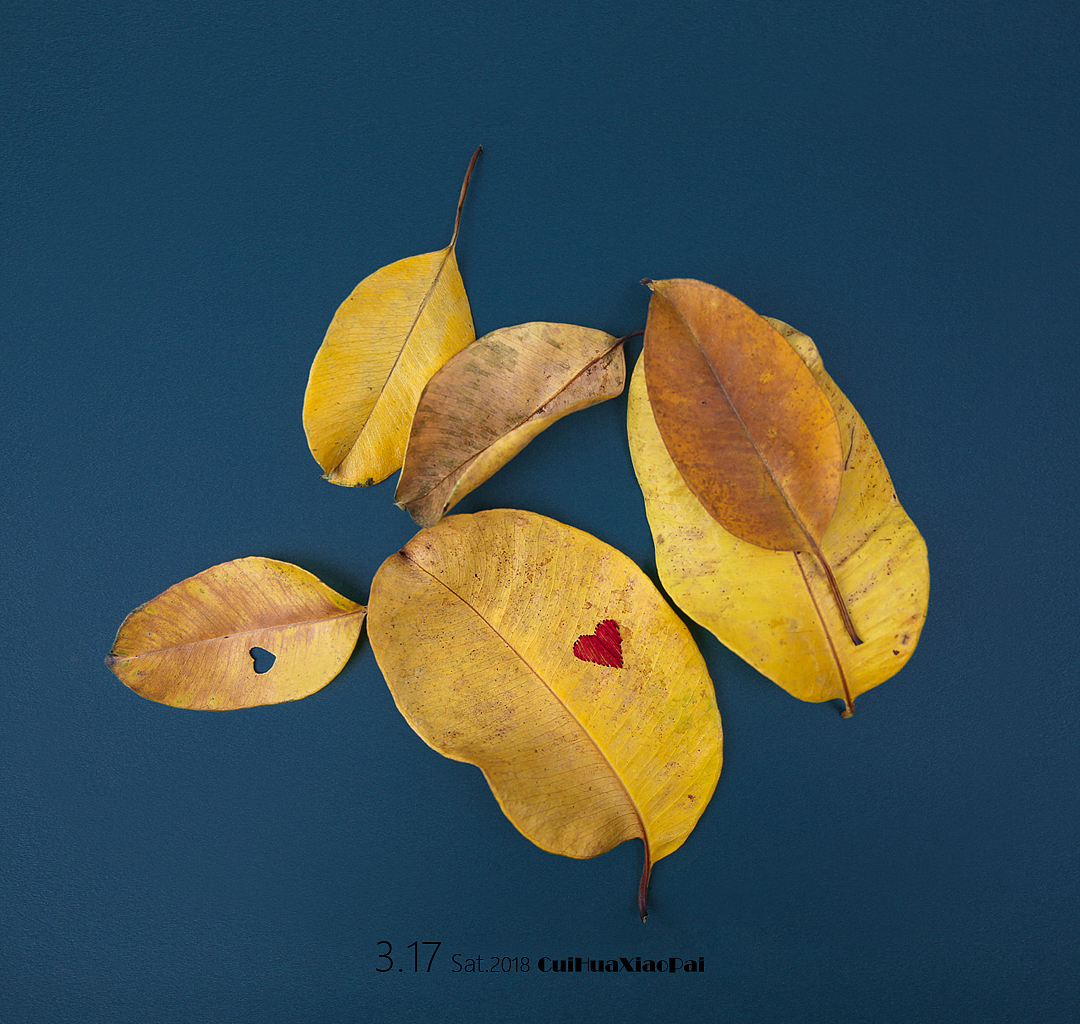 创意摄影#1(图ZMTE1Nzc4ODE2) - 其他摄影 - 站酷设计师翠花小拍原创素材 - 站酷ZCOOL