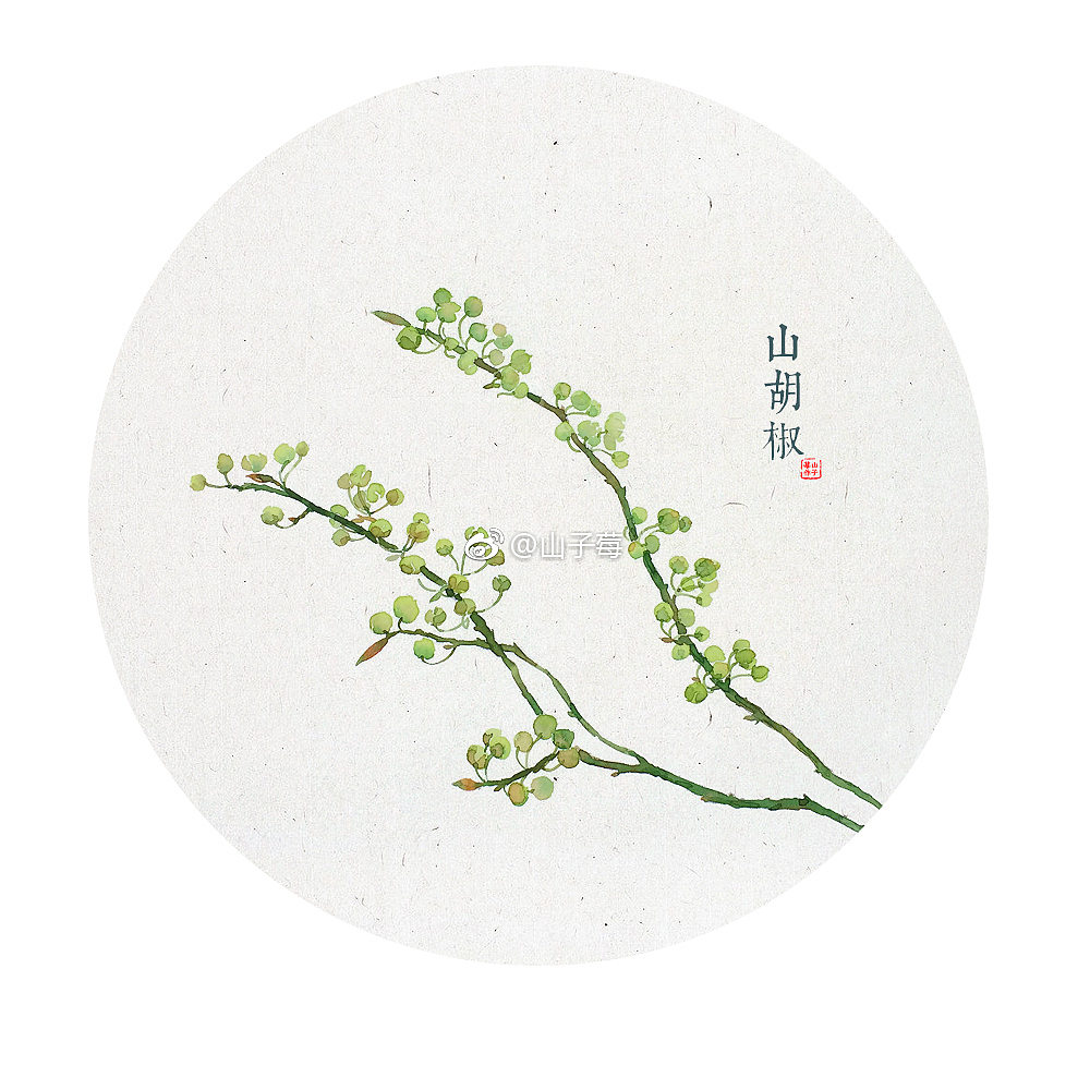 手绘 水彩植物 水彩花卉