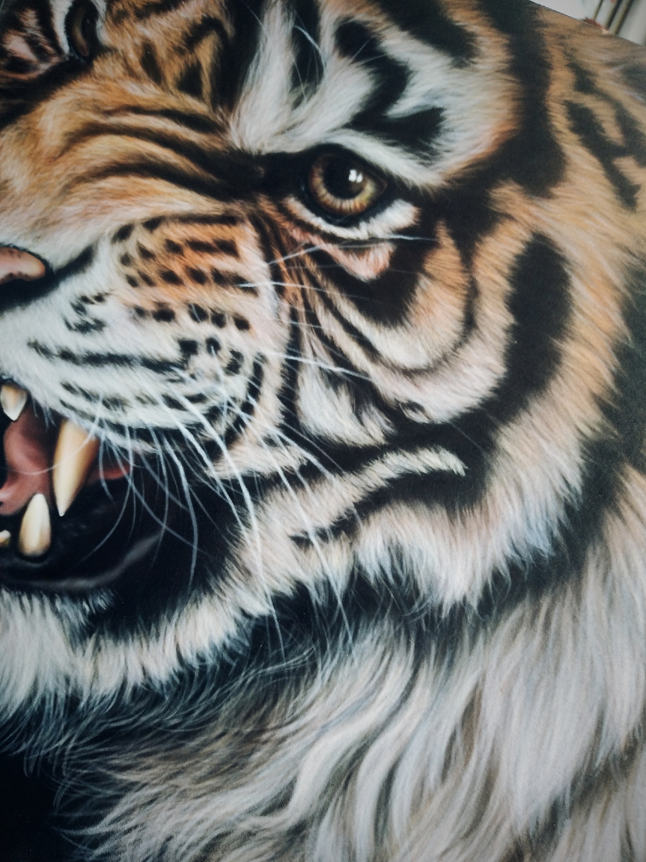 如何画一个老虎？