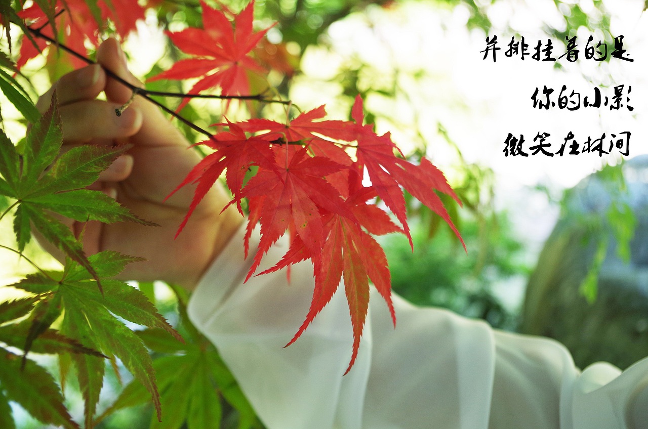 《望》（图ZNjIxMTIyMTY=） - 人像摄影 - 站酷设计师鄂Q网图搬运工原创素材 - 站酷ZCOOL