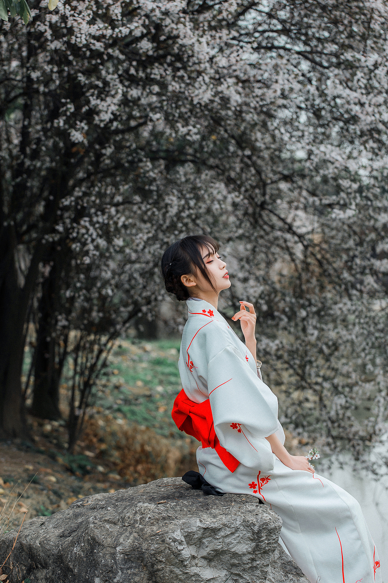 花语心事