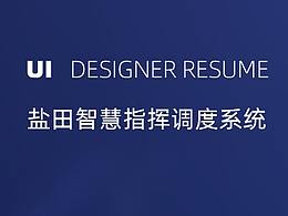 可视化