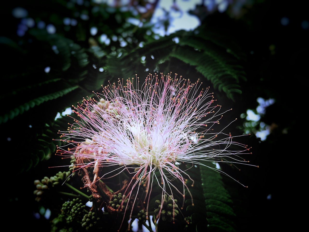 武汉长江大桥（图ZMTc2NTU2NzQ4） - 风光摄影 - 站酷设计师钱多多cnc原创素材 - 站酷ZCOOL