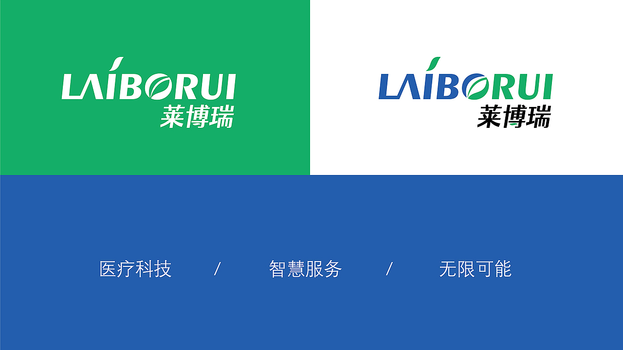 【瑞咖/品牌全案】莱博瑞 | 莱博瑞科技 超越未来