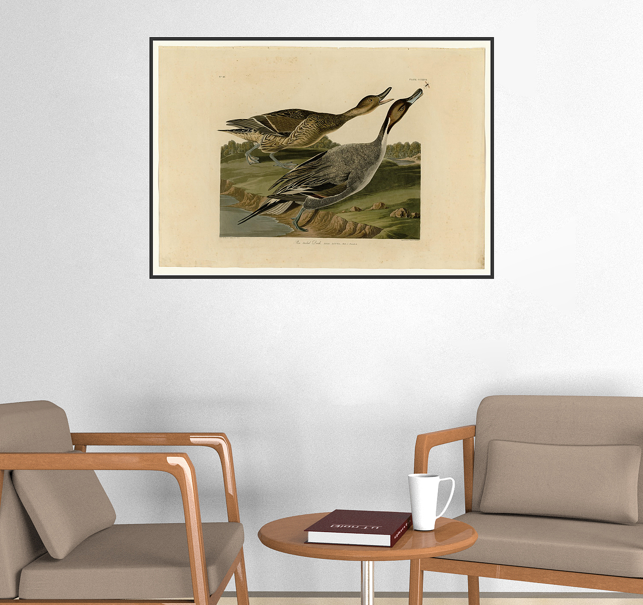 欧美鸟类装饰画