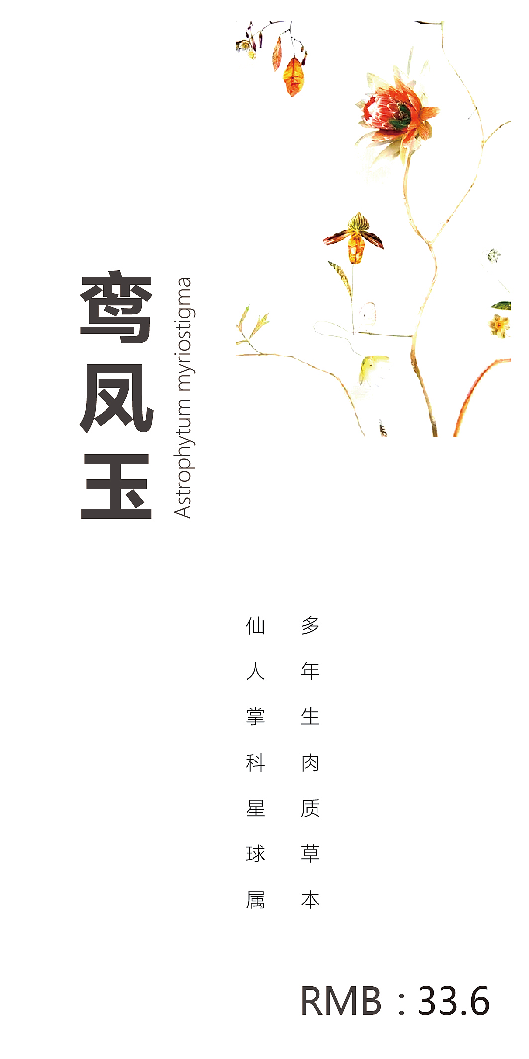 花店价目表小卡片设计（图ZMTQzNjI4NzY4） - 其他平面 - 站酷设计师胡黑豆原创素材 - 站酷ZCOOL