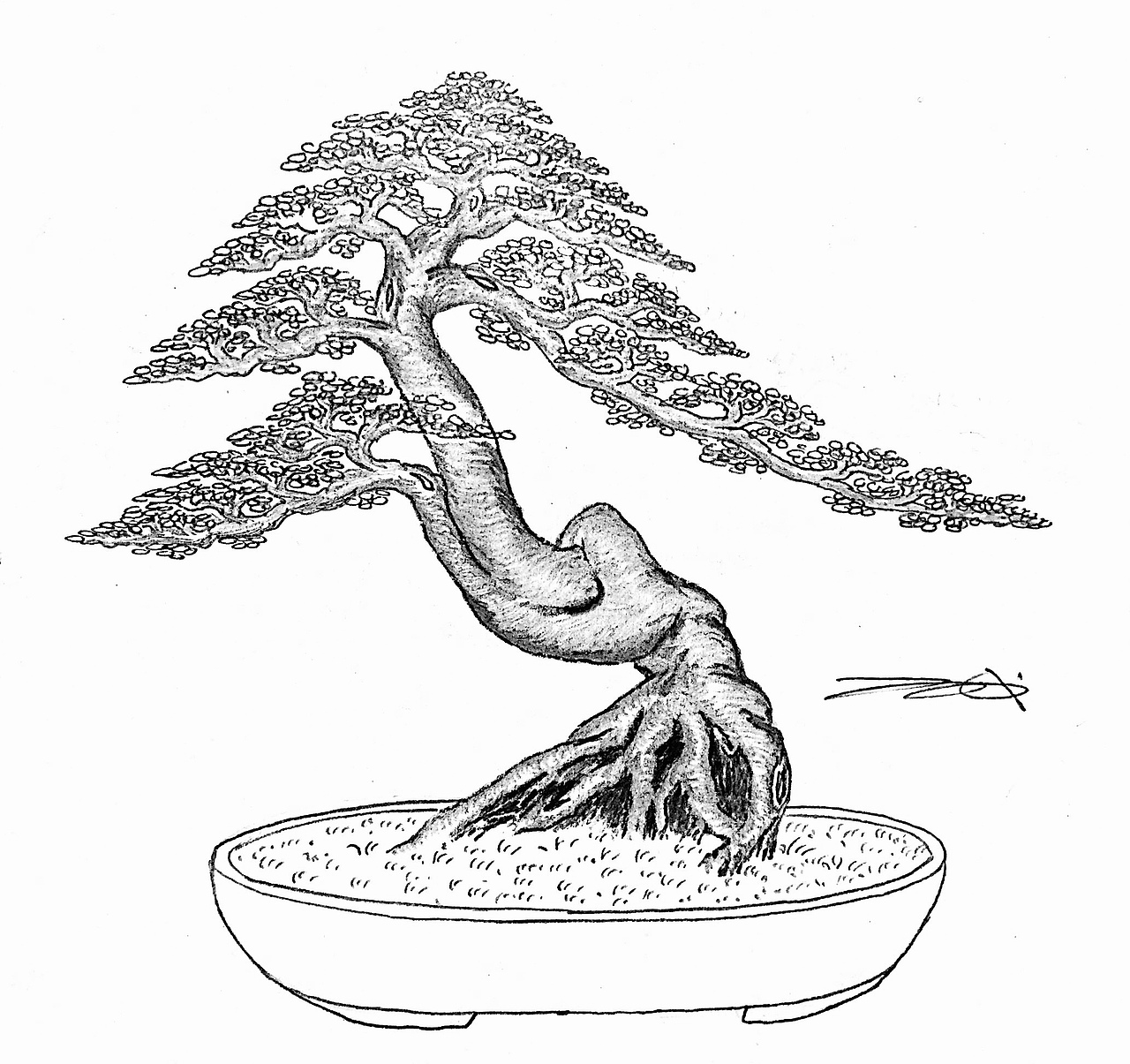 吕绍武手绘盆景设计效果图（图ZMTY4MDkwNjg0） - 绘画 - 站酷设计师慧武原创素材 - 站酷ZCOOL