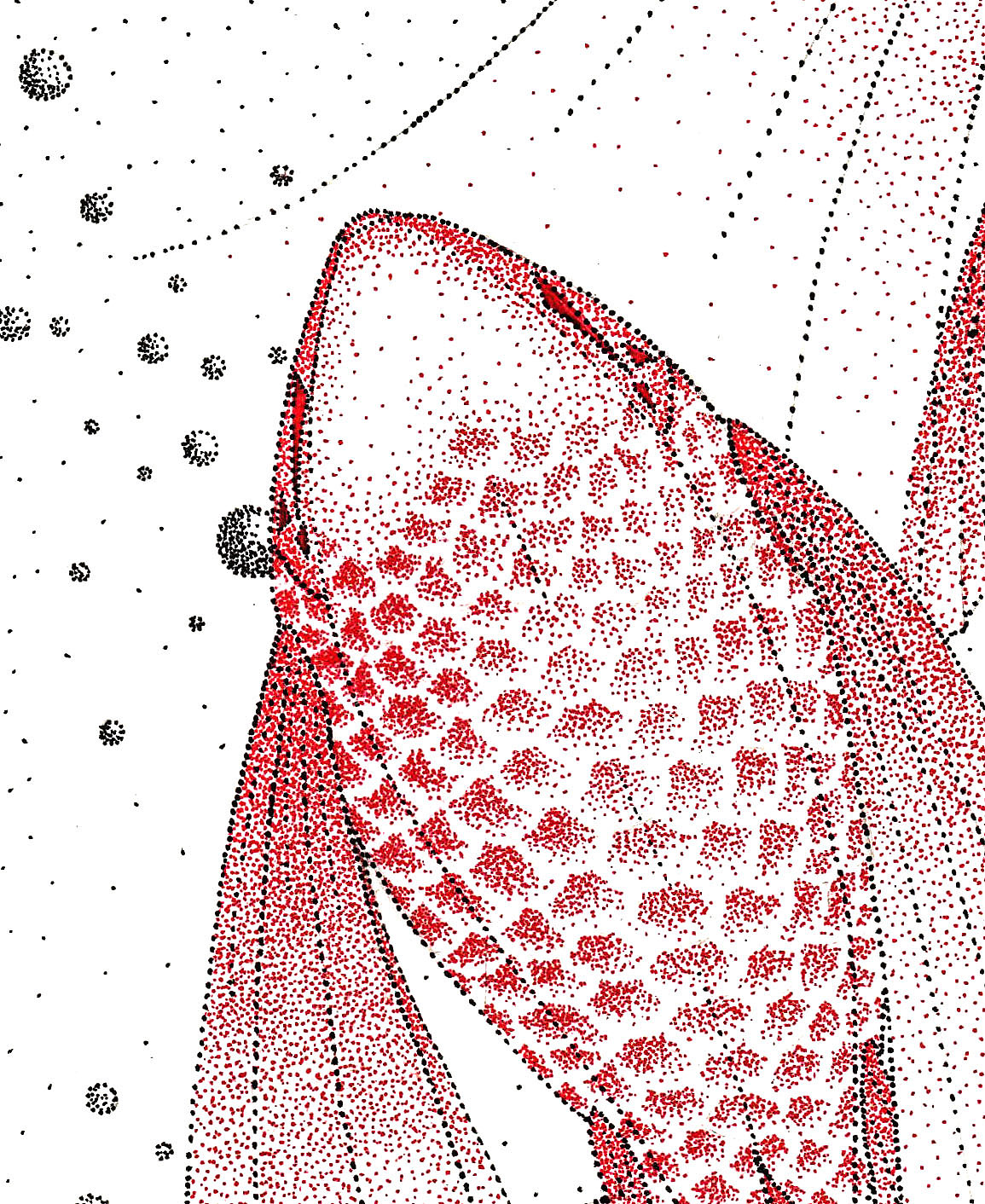 点画法—飞鱼跃海|插画|商业插画|mihu猫虎_原创作品-站酷zcool