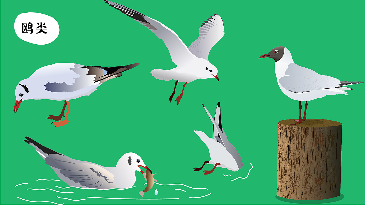 深圳湾公园湿地主题解说牌