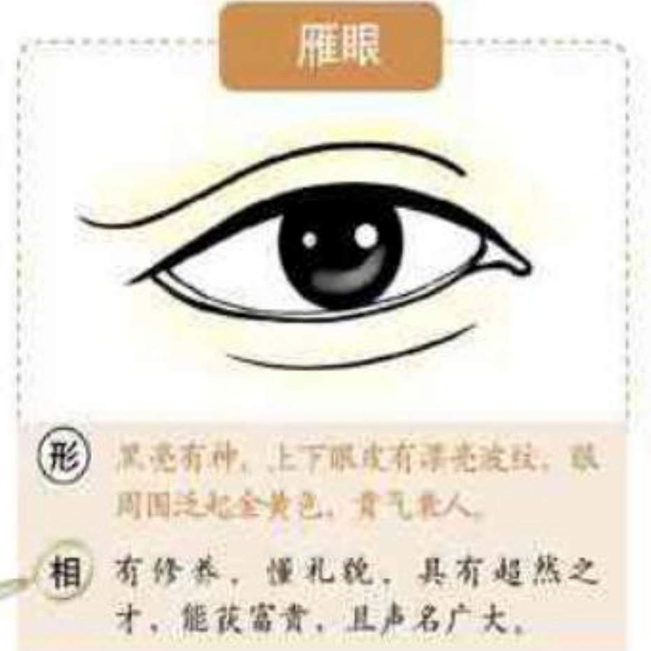 麻衣神相中眼型