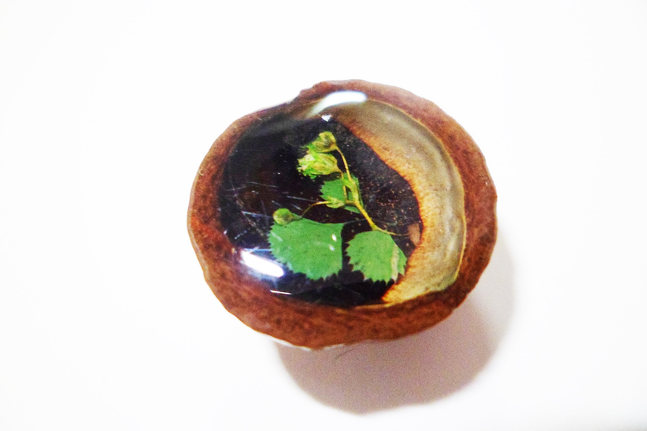 夏威夷果和AB胶--花草（图ZOTM5OTYyOTY=） - 生活用品 - 站酷设计师MK的店原创素材 - 站酷ZCOOL