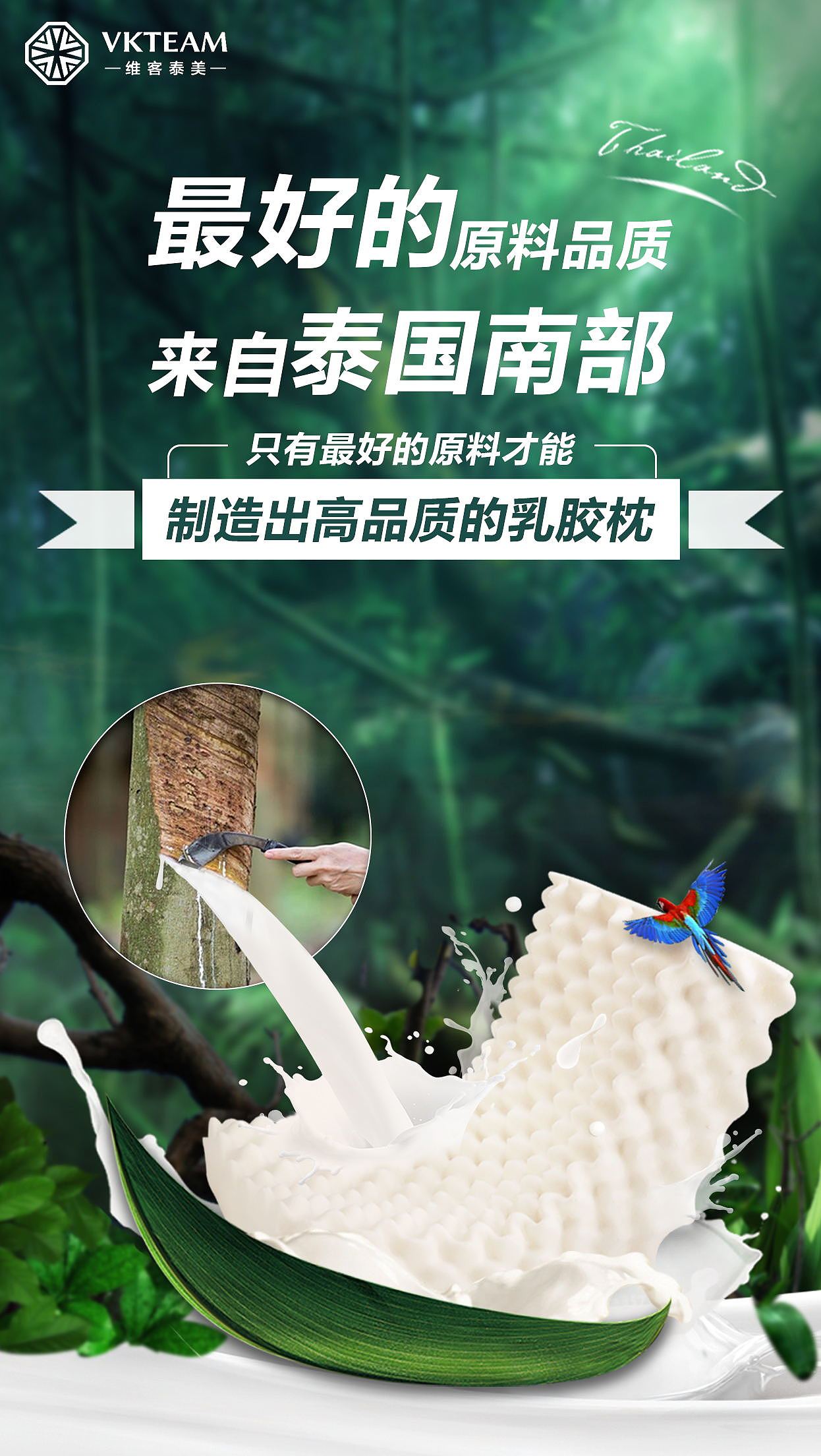 乳膠枕海報（圖ZMTI0NTMxNTE2） - 運營設計 - 站酷設計師佳欣00原創(chuàng)素材 - 站酷ZCOOL