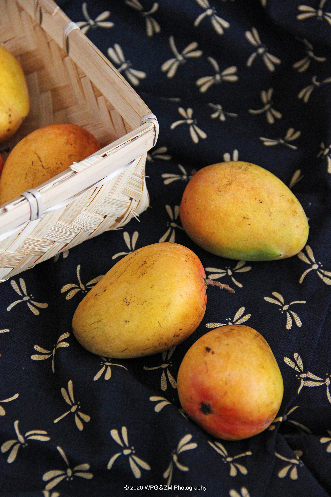 《 HELLO · JULY 》