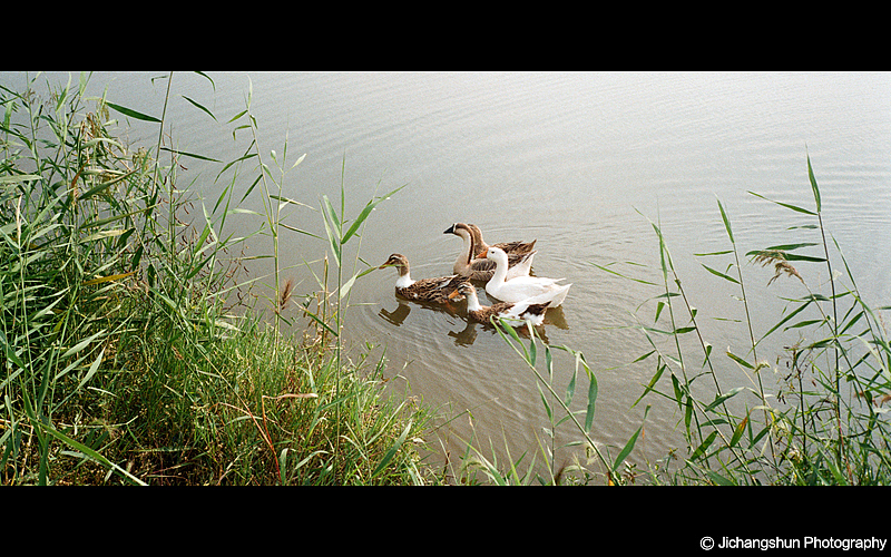 生活在情怀里（图ZMjE0OTY1MDg=） - 风光摄影 - 站酷设计师觉纪原创素材 - 站酷ZCOOL